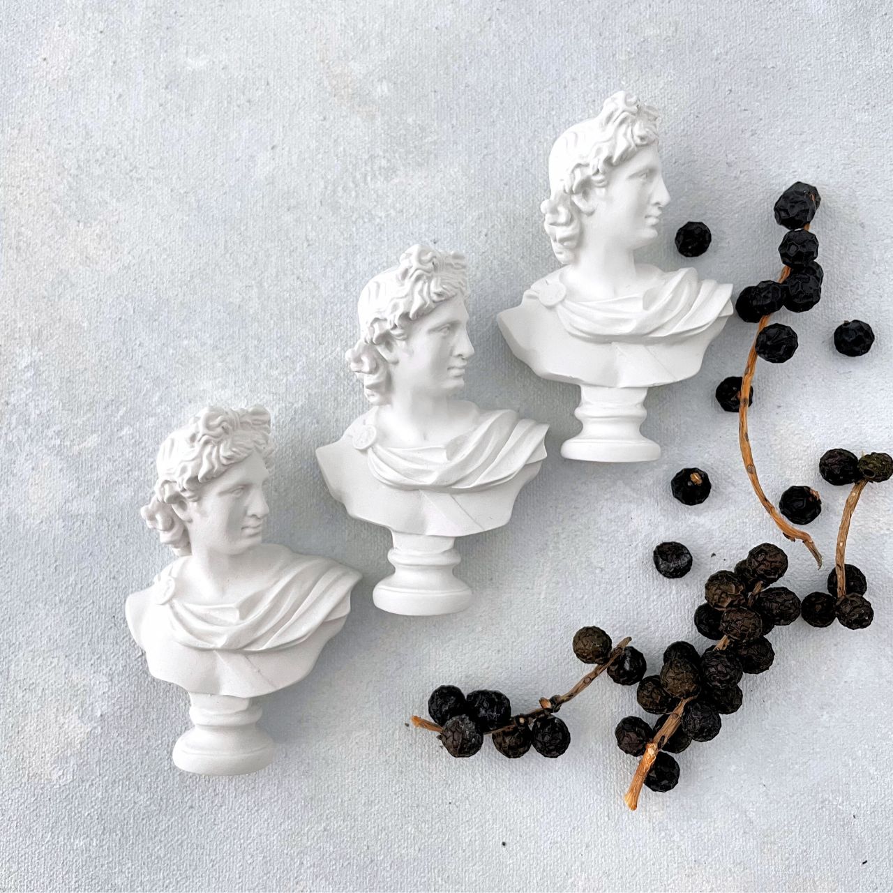 DEAL - Male Bust Lay-Flat Prop