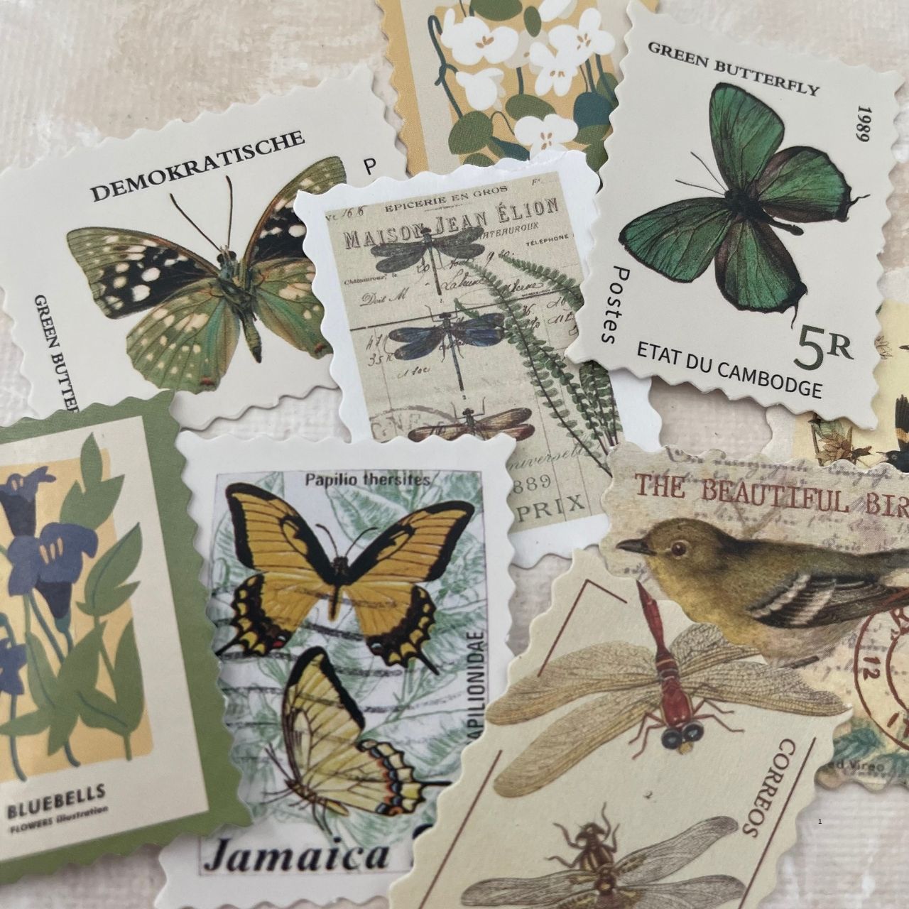 JUNE DEAL -  Olive Green Postage