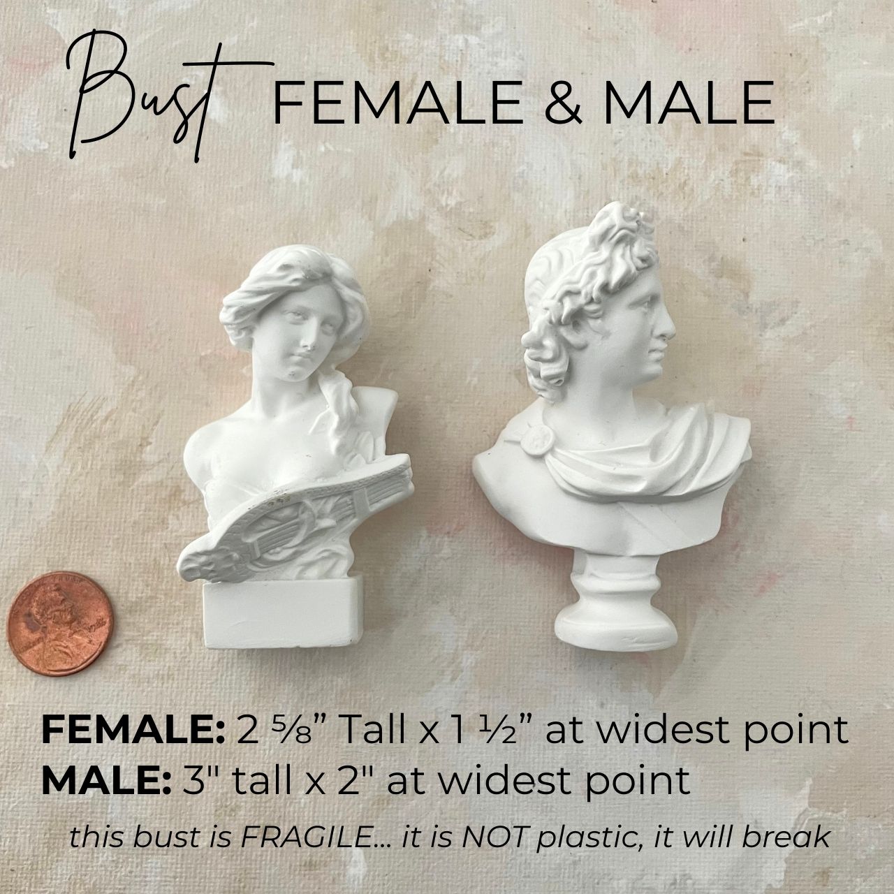 Miniature Bust Lay-Flat Prop